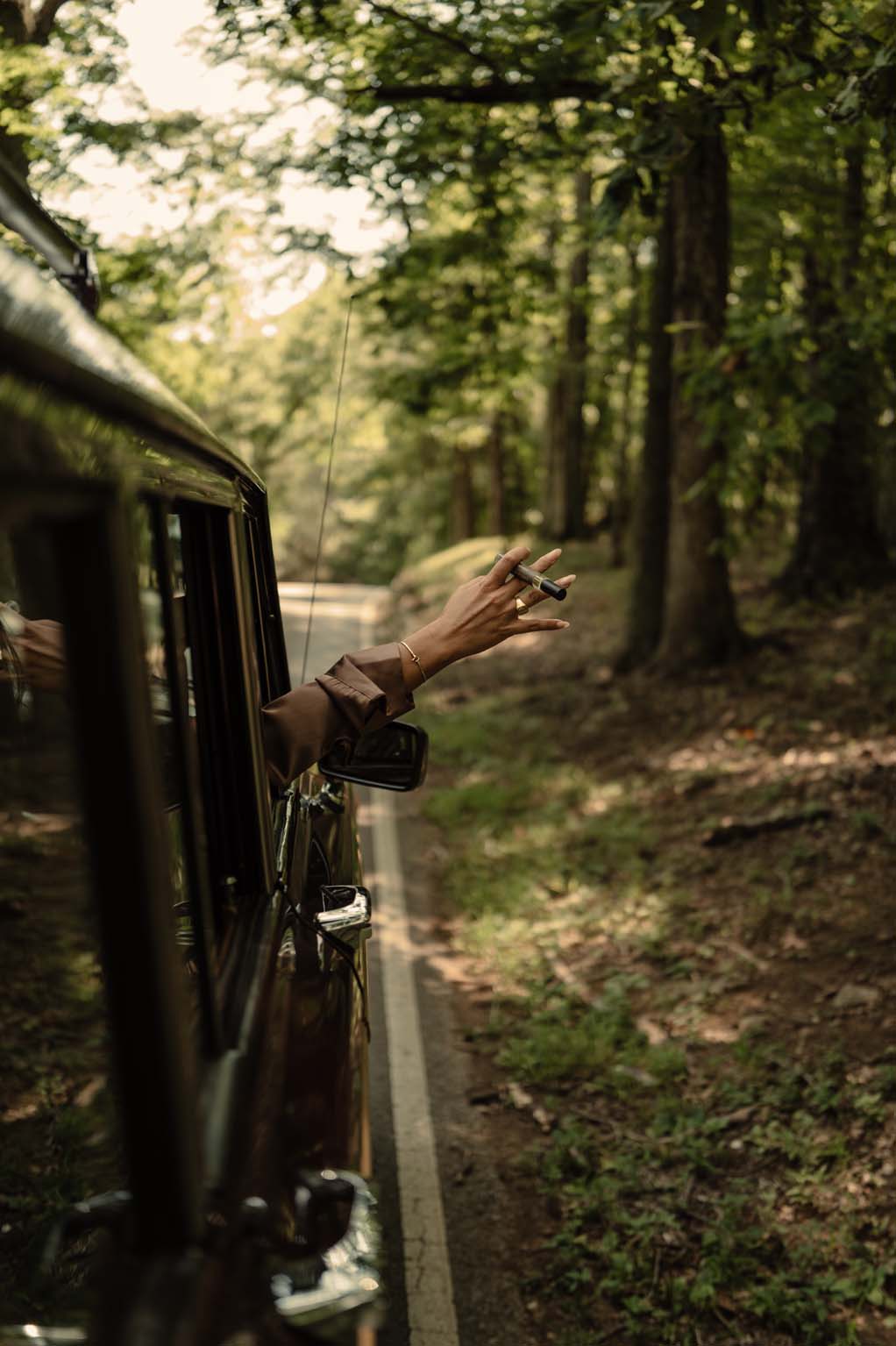 Down to Earth Traveler